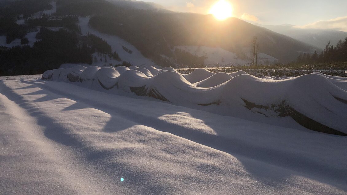 Winter Gemüsefeld | © Garten am Berg