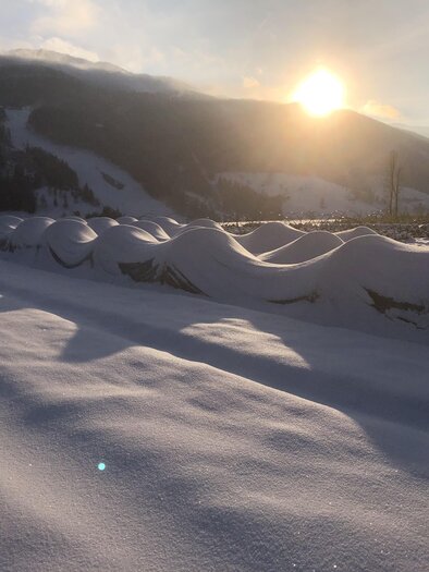 Winter Gemüsefeld | © Garten am Berg