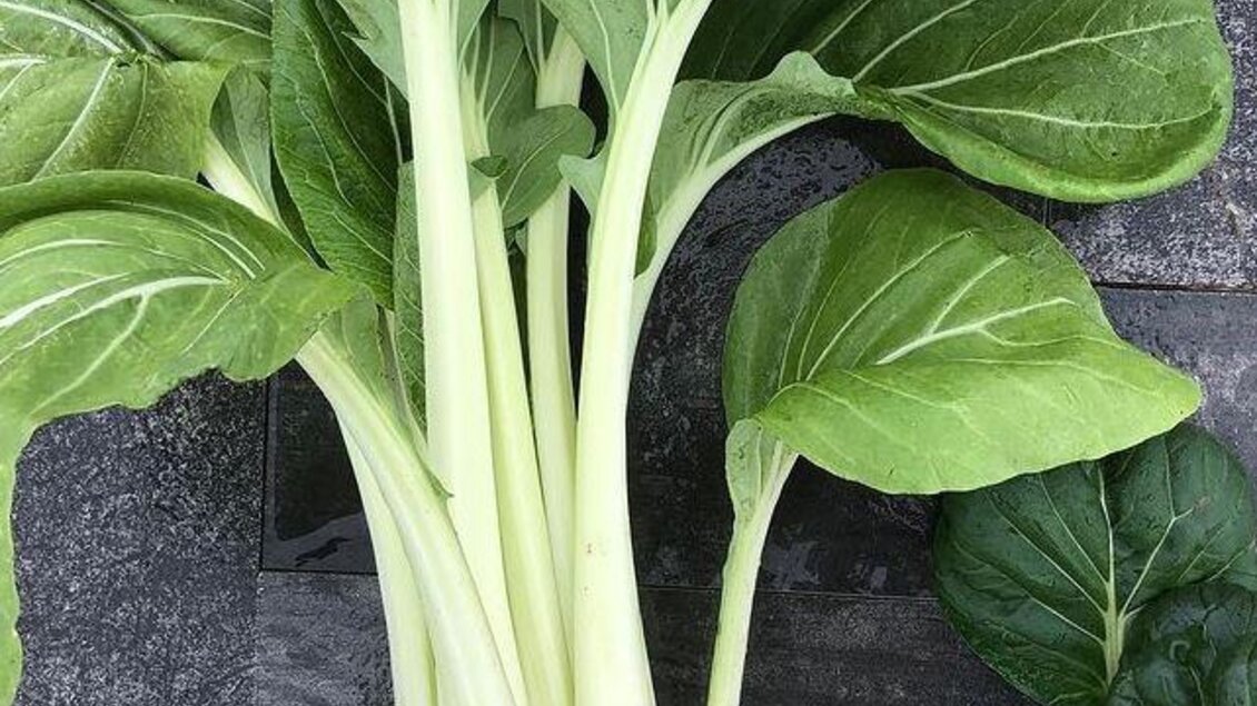 Gemüse | © Gemüsepost