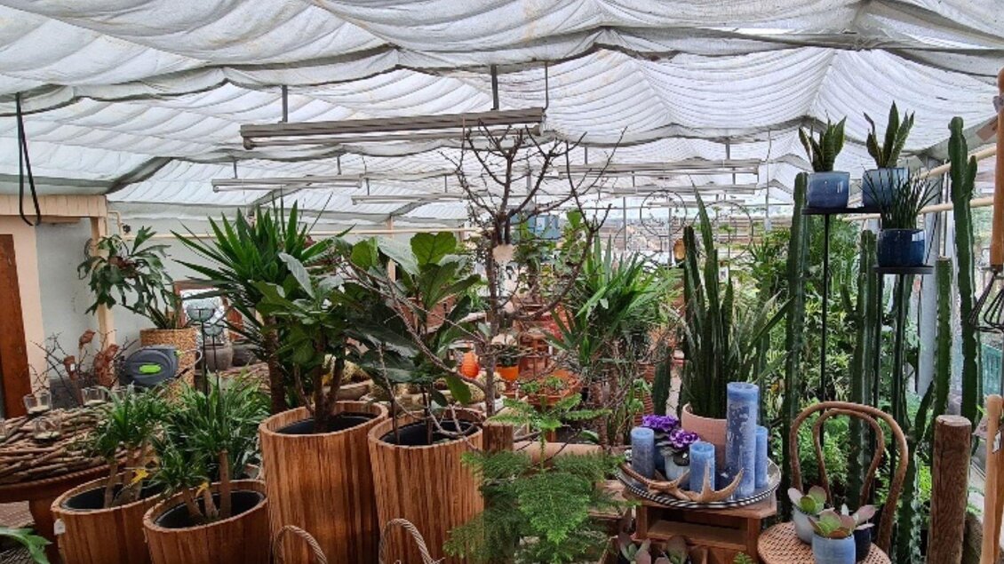 Reischenböck, Altaussee, Gärtnerei innen | © Stephanie Bor