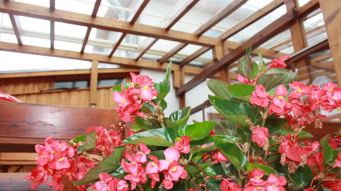 Gasthaus Bohmann_Außen Blumen_Oststeiermark | © Tourismusverband Oststeiermark