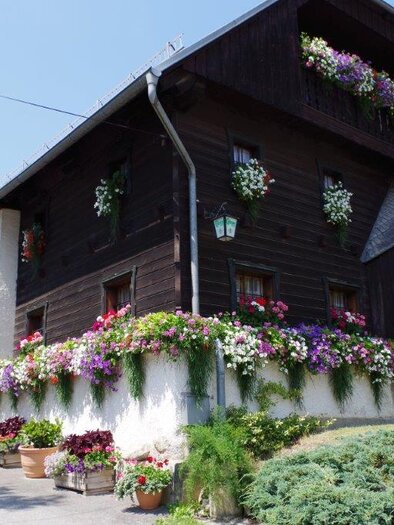 A beautiful country house with blooming flowers and plants. The facade is made of wood and conveys an inviting atmosphere.