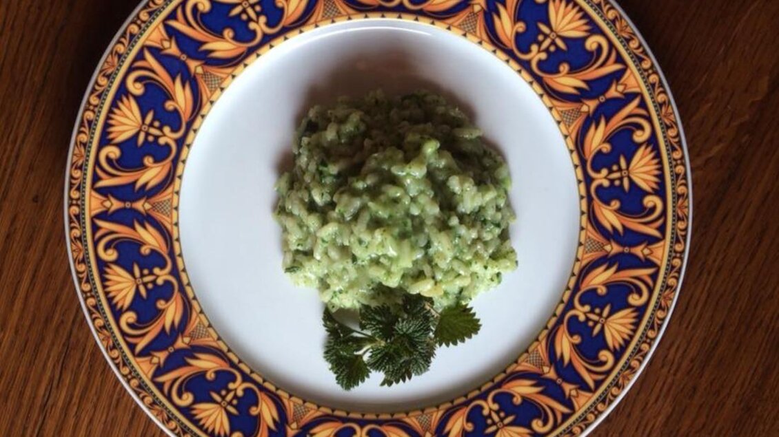 Eine Portion grünes Risotto auf einem dekorativen Teller. Frische Kräuter garnieren das Gericht. | © Familie Koschak