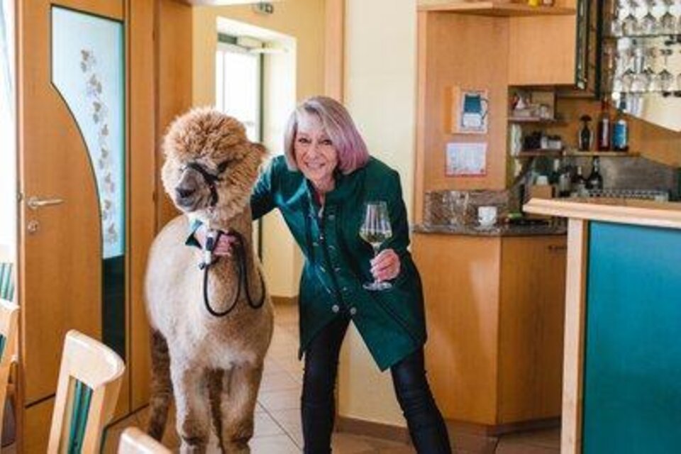 Alpakawirt Inn - Impression #1 | © Alpaka Heuriger