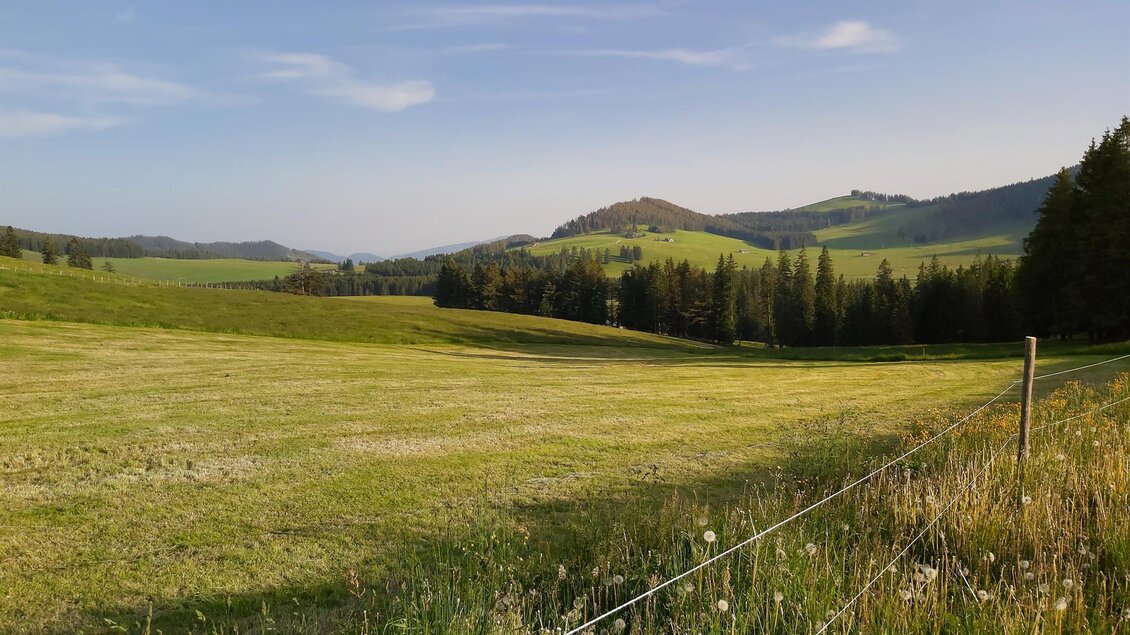 Eine grüne Wiese umgeben von sanften Hügeln und Wäldern. Der Himmel ist klar und zeigt eine entspannte, ländliche Landschaft. | © Tourismusverband Oststeiermark