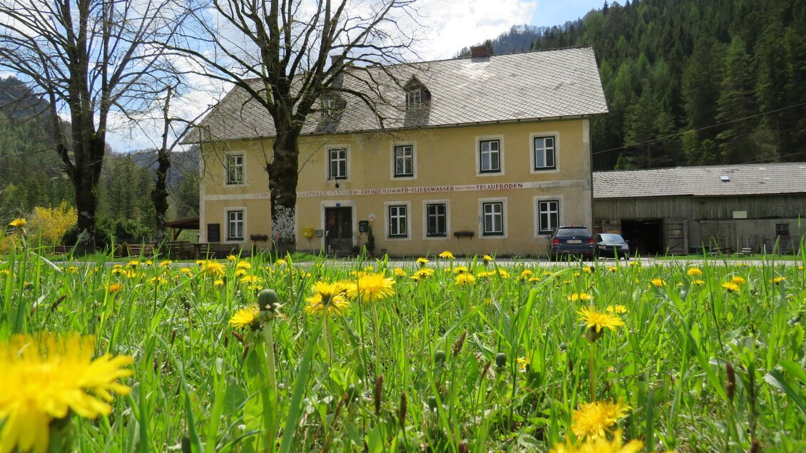 Ein altes gelbes Haus mit mehreren Fenstern steht vor einer grünen Wiese voller Löwenzahn. Im Hintergrund sind Bäume und Berge sichtbar. | © Fam. Digruber
