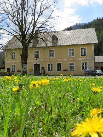 An old yellow house with several windows stands in front of a green meadow full of dandelions. In the background, trees and mountains are visible. | © Fam. Digruber