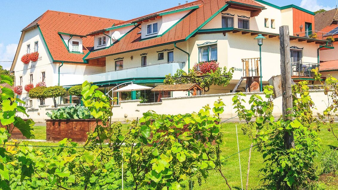 Ein charmantes Gebäude mit roten Dächern und blühenden Blumen. Im Vordergrund befinden sich grüne Weinreben auf einer gepflegten Wiese. | © Gasthof Knappenwirt
