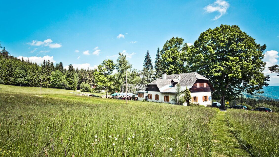 Ein schönes Haus inmitten einer grünen Wiese, umgeben von Bäumen. Der Himmel ist blau und klar, was die idyllische Landschaft verstärkt. | © Schilcherland Steiermark