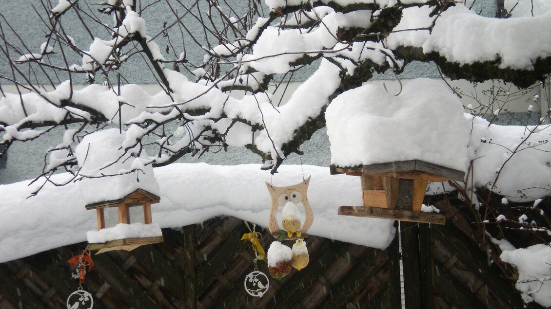 Ein winterlicher Garten mit schneebedeckten Vogelhäusern und Ästen. Die Landschaft ist still und idyllisch.