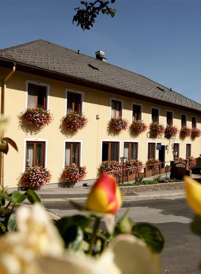 Gasthof Pürrer in Schäffern in der Oststeiermark | Leo | © Gasthof Pürrer