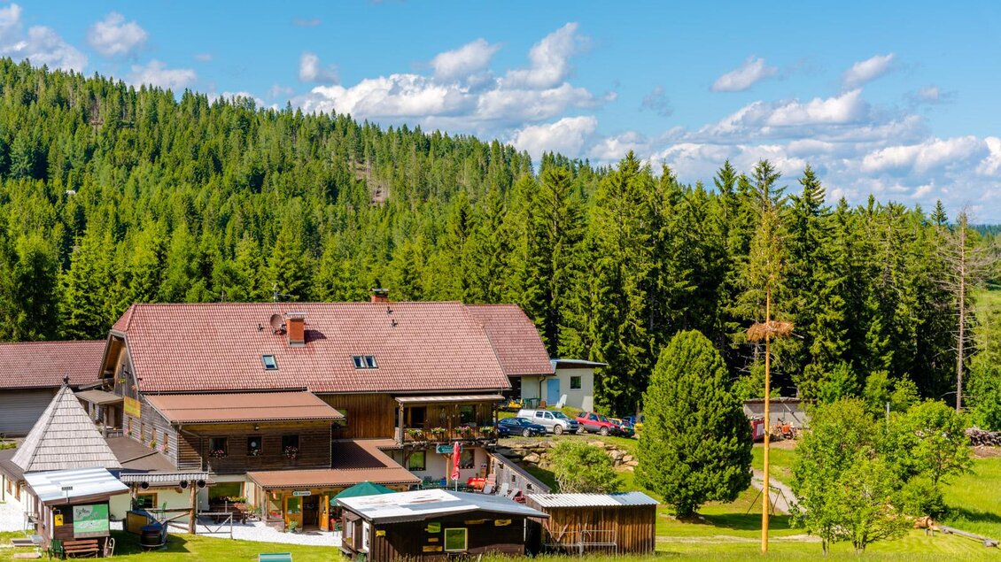 Eine malerische Almhütte umgeben von grünem Wald und einer schönen Landschaft. Der Himmel ist blau mit wenigen weißen Wolken. | © Gasthof Rieseralm
