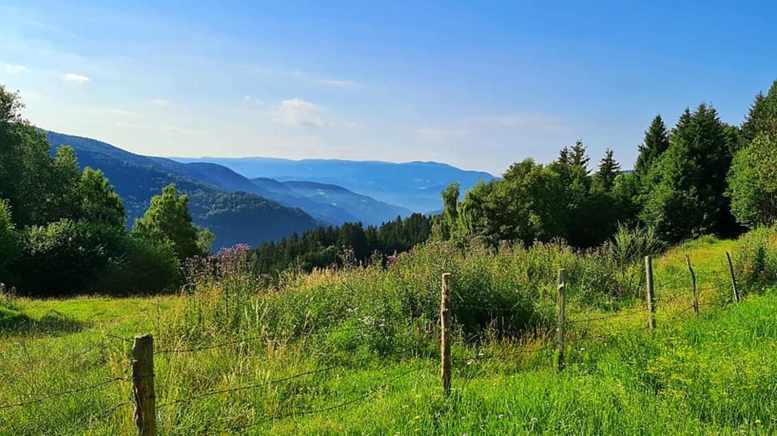 Eine wunderschöne Landschaft mit grünen Wiesen und Bäumen. Im Hintergrund erstrecken sich sanfte Hügel unter einem klaren blauen Himmel. | © Gasthof Roschitzhof