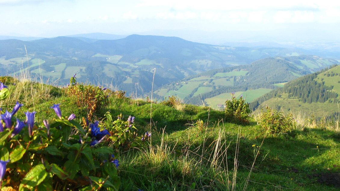 Gasthof Unterberger_Brandlucken_Oststeiermark | © Gasthof Unterberger