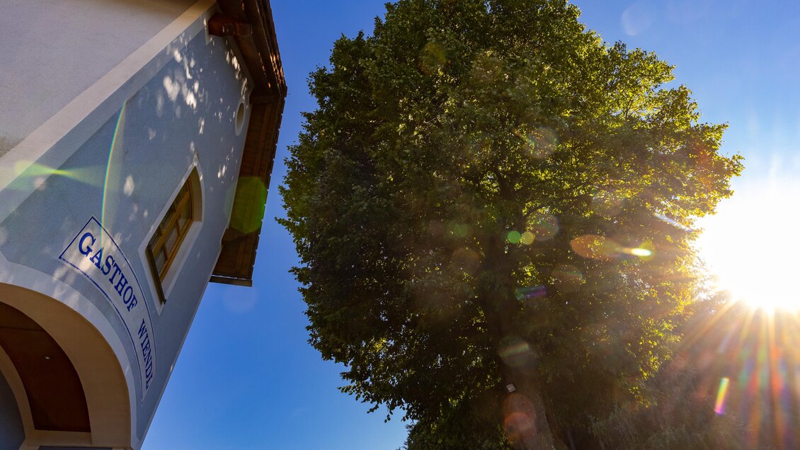 Ein helles Bild eines Gebäudes mit dem Schild „Gasthof“ und einem großen Baum im Vordergrund. Die Sonne scheint und der Himmel ist blau. | © Lipizzanerheimat | Harry Schiffer