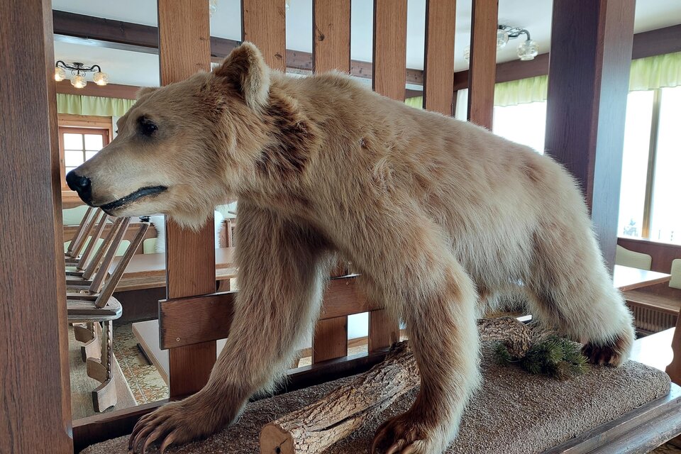 Gasthof zum Bäreneck - Impression #1 | © TV Hochsteiermark / Brigitte Digruber