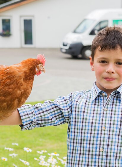 Geflügelhof-Huhn-Murtal-Steiermark | Kaltenegger | © Kaltenegger