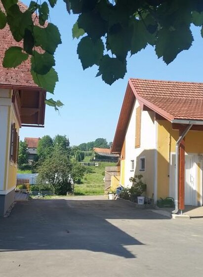 Gemüsehof Tschernko | © Tschernko