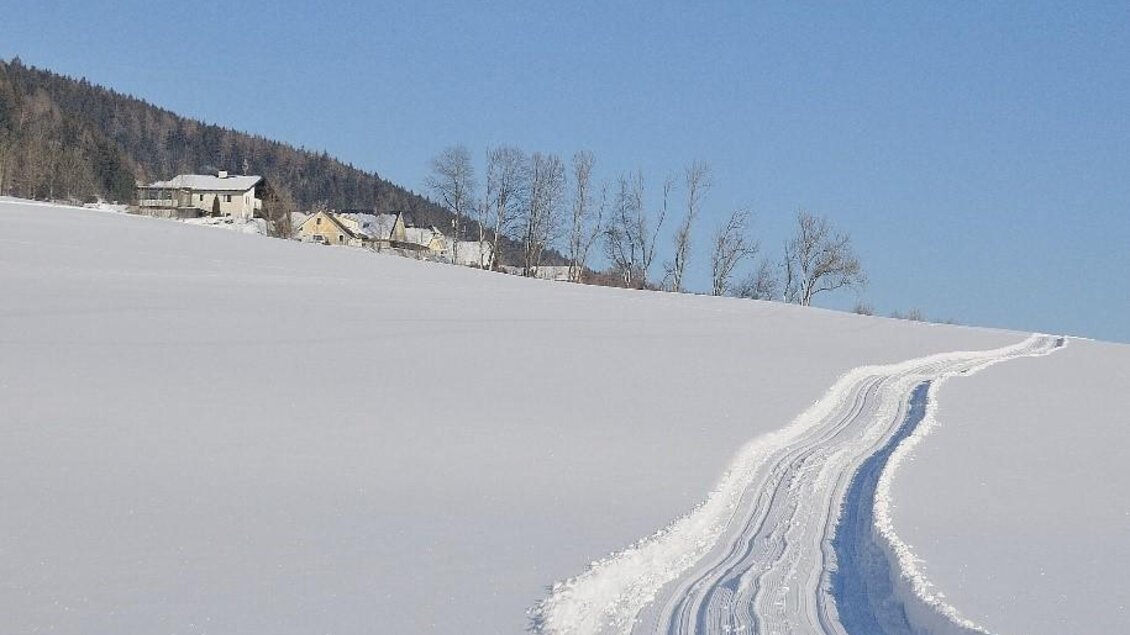 Eine ruhige Winterlandschaft mit schneebedeckten Feldern und einem klaren blauen Himmel. Im Hintergrund sind einige Häuser und Bäume sichtbar. | © Gemeinde Mitterberg-Sankt Martin
