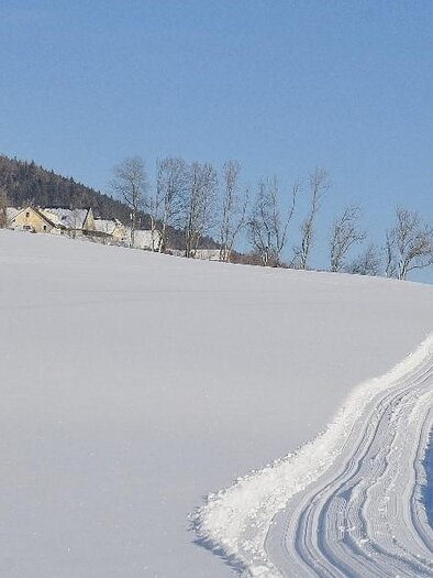 Eine ruhige Winterlandschaft mit schneebedeckten Feldern und einem klaren blauen Himmel. Im Hintergrund sind einige Häuser und Bäume sichtbar. | © Gemeinde Mitterberg-Sankt Martin