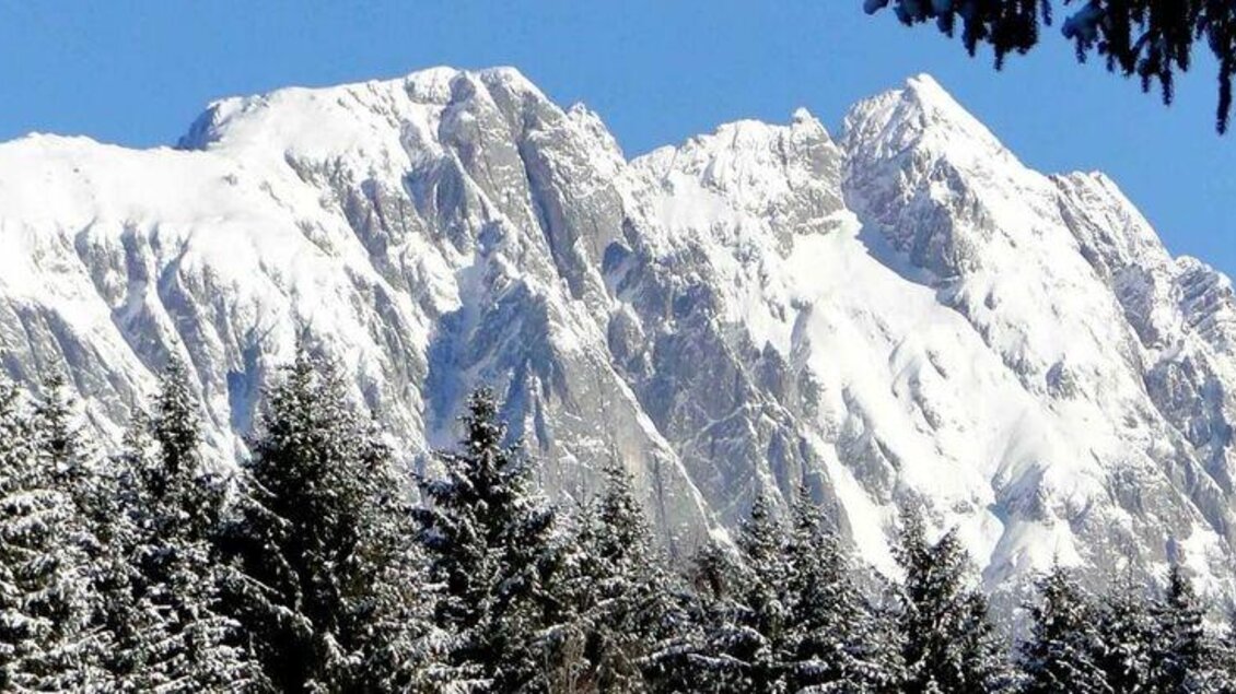 Ein schneebedeckter Berg unter einem klaren blauen Himmel. Umgeben von dichten, grünen Nadelbäumen. | © Gemeinde Mitterberg-Sankt Martin
