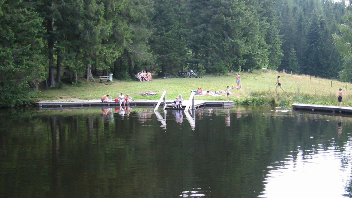 Naturbadeteich in Rettenegg. | © Gemeinde Rettenegg
