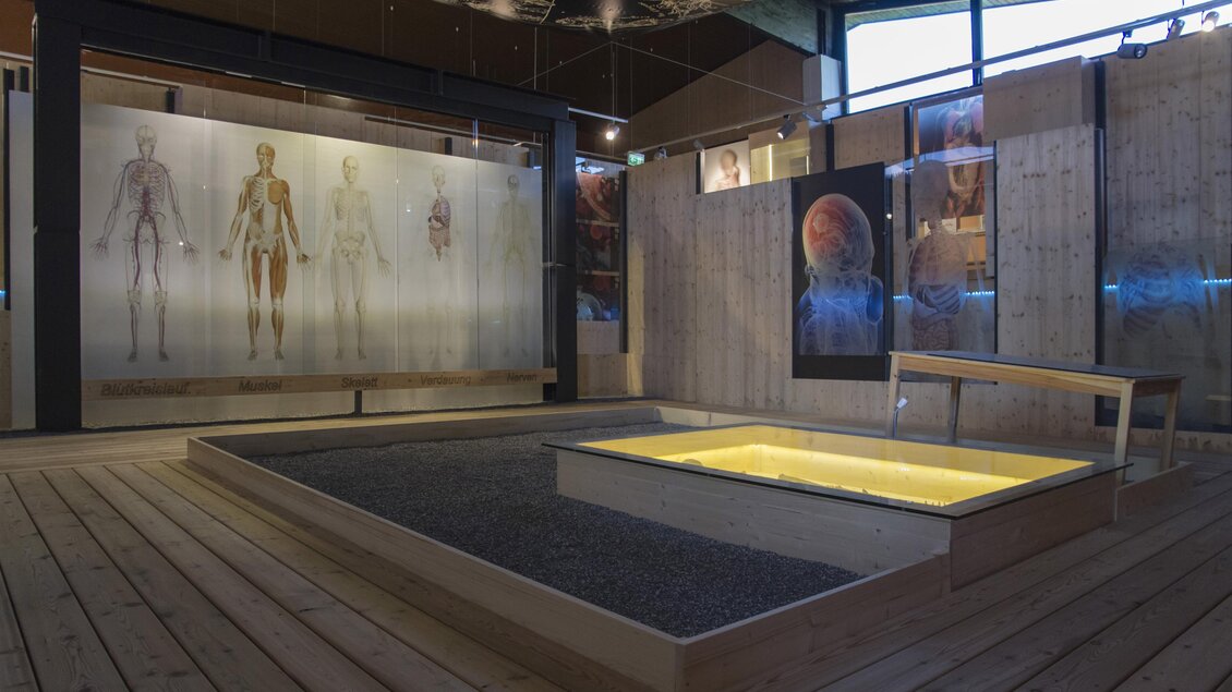 Ausstellung Labyrinth Mensch. | © Gemeinde Rettenegg