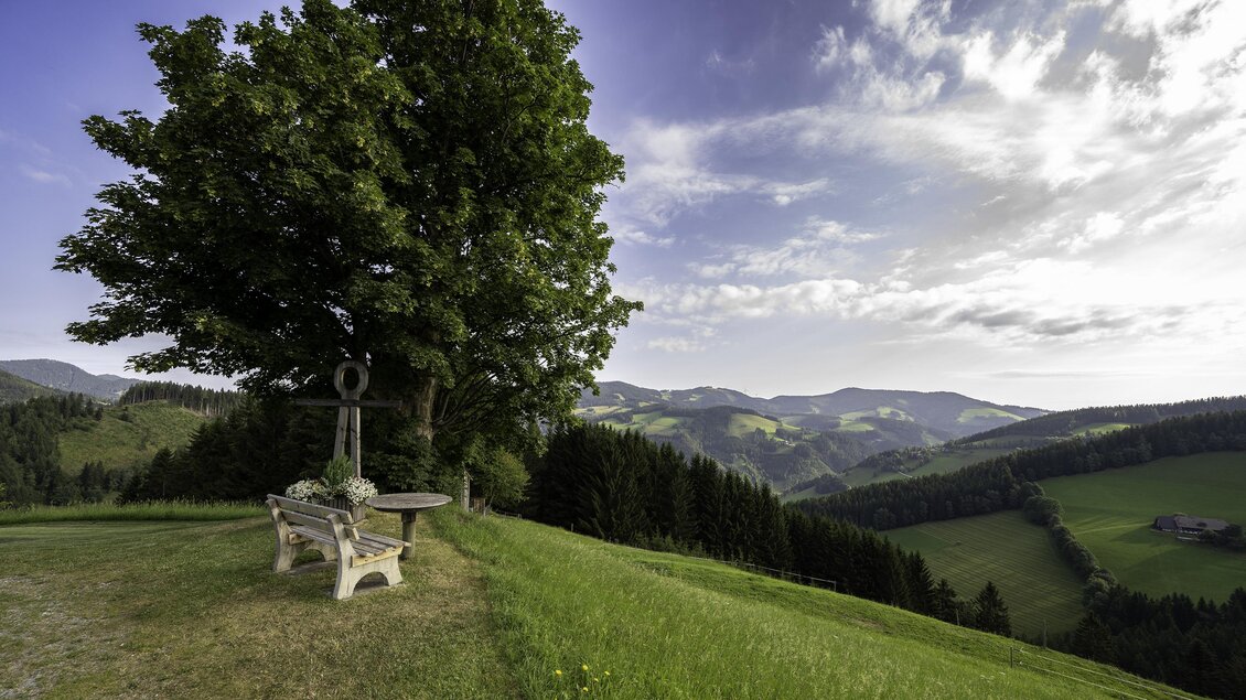 Wegkreuz Hochegger_Oststeiermark_Kurt Elmleitner | © Tourismusverband Oststeiermark