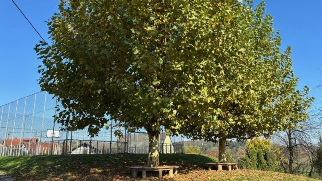 Generationenpark - Impressionen #2.4