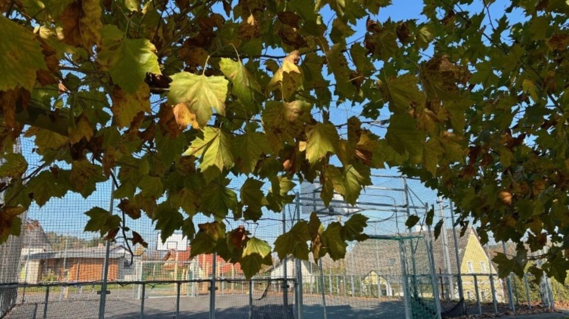 FunCourt | © Marktgemeinde St. Nikolai i. S.