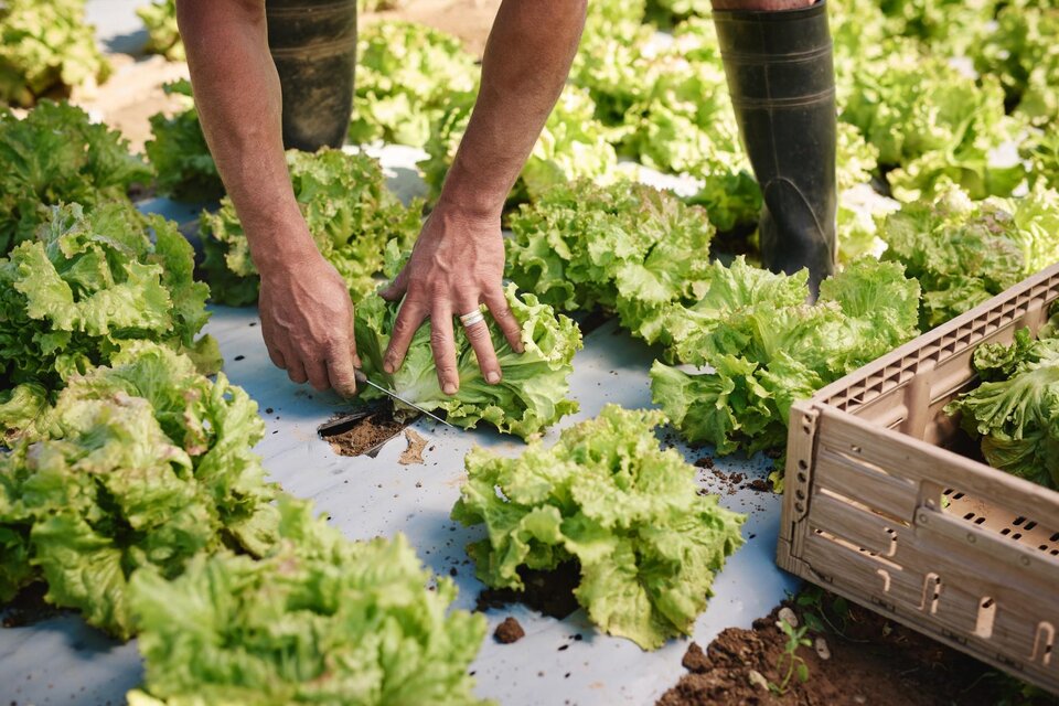 Hillebrand Farm for Pleasure - Impression #1 | © Region Graz - Michael Königshofer