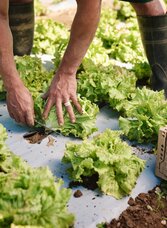 GenussBauernhof Hillebrand | © Region Graz - Michael Königshofer | © Region Graz - Michael Königshofer