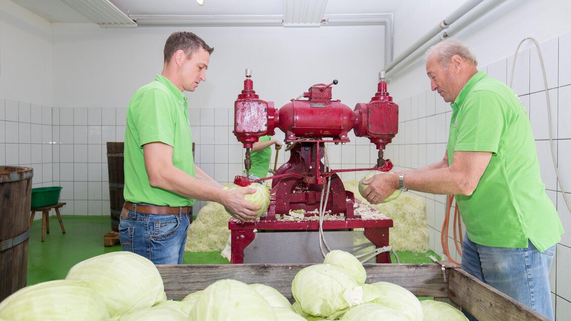 Zwei Männer in grünen Hemden arbeiten an einer Maschinenanlage zur Verarbeitung von Kohl. Im Vordergrund liegen frische Kohlköpfe bereit zur Bearbeitung. | © Region Graz - Harry Schiffer