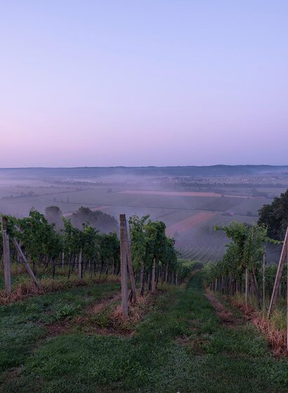 Ausblick vom Genusshof ins Raabtal | © Krenn-Kniely