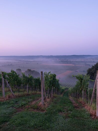 View from the Genusshof into the Raabtal valley | © Krenn-Kniely