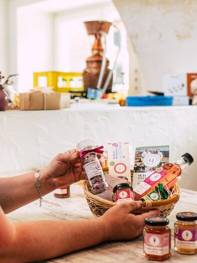 Ulrike Stelzl | © RMSW GmbH_webquartier