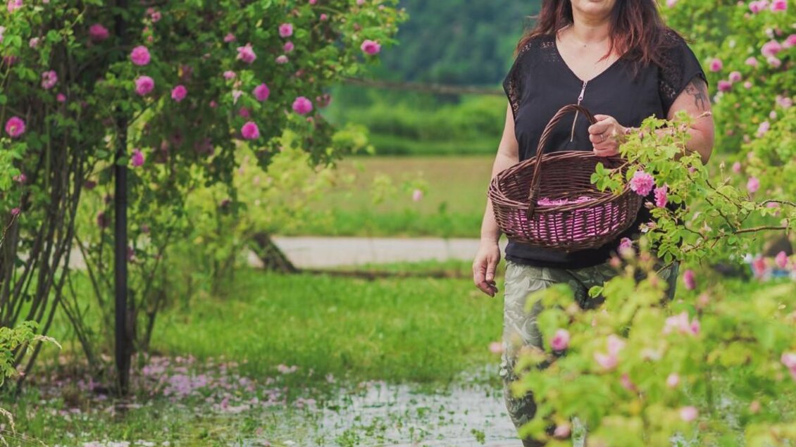 Rosengarten | © RMSW GmbH_webquartier