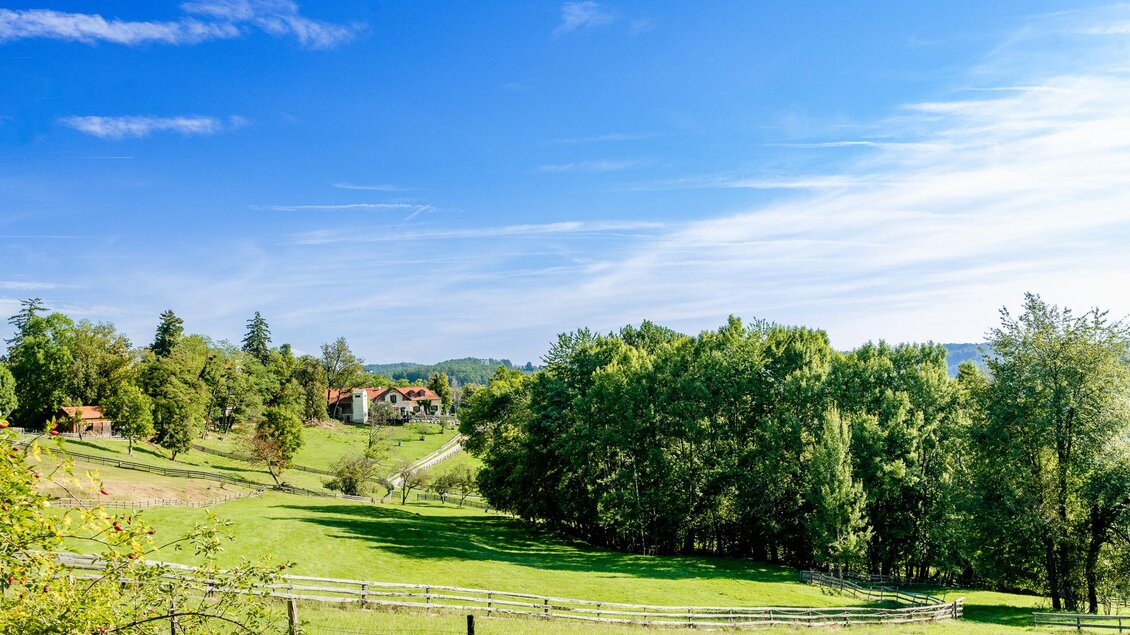 Blick über grüne Wiesen mit Höfen, Wald und blauem Himmel | © Graz Tourismus - Mias Photoart