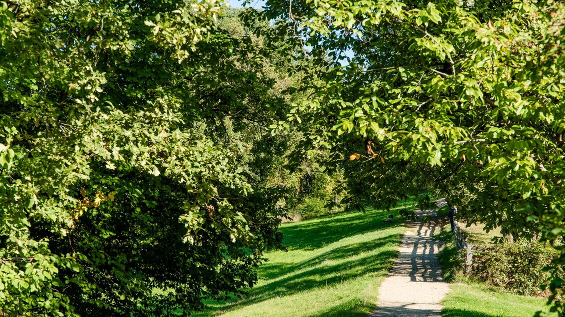 Schattiger Spazierweg mit Wiese und Bäumen im Naturraum | © Graz Tourismus - Mias Photoart