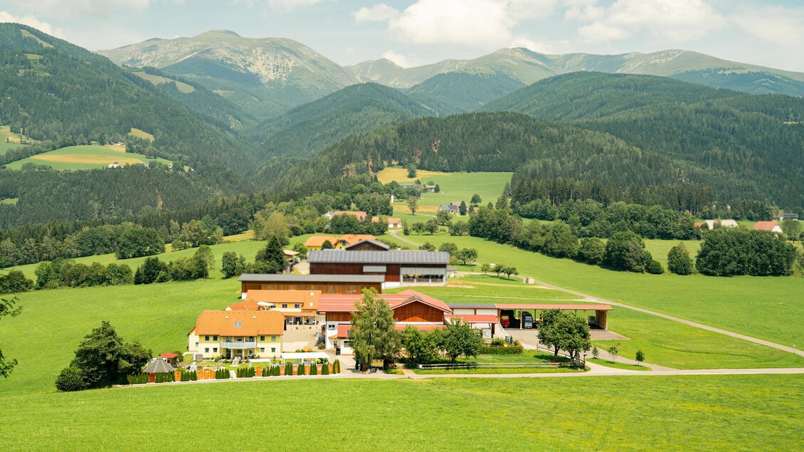 Eine idyllische Landschaft mit einem Bauernhof umgeben von grünen Wiesen und Bergen im Hintergrund. Der Himmel ist leicht bewölkt und vermittelt eine friedliche Atmosphäre. | © Fam. Offenbacher