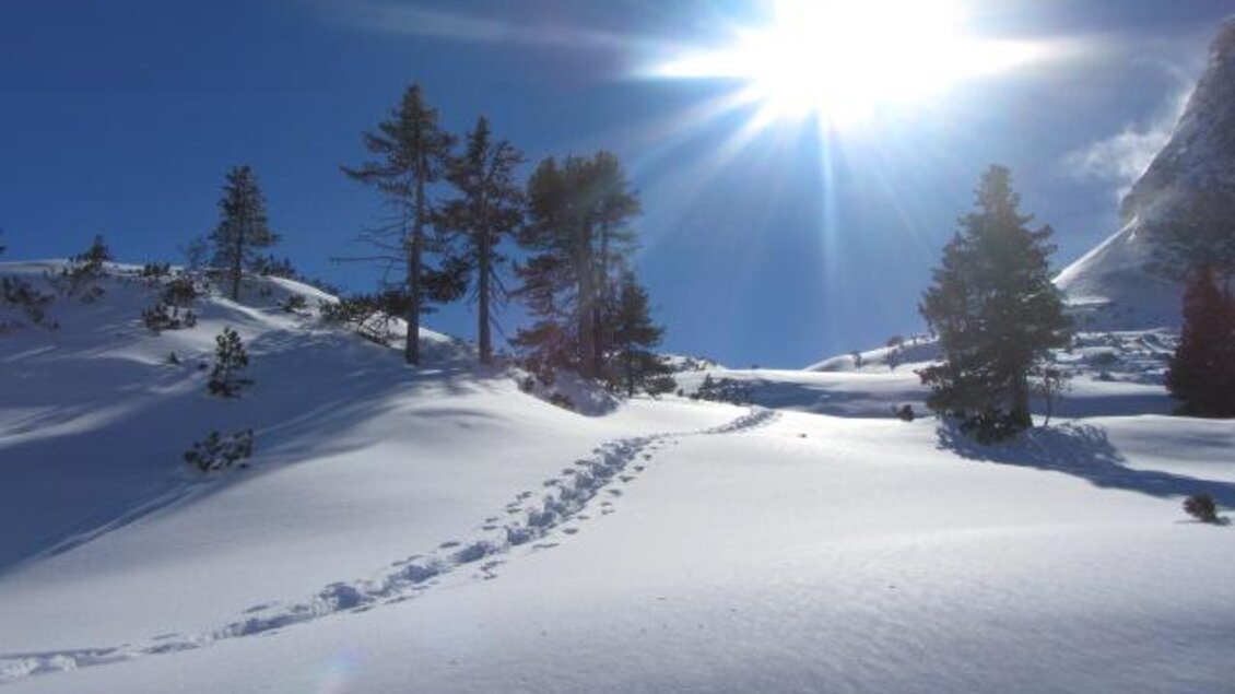 Eine schneebedeckte Landschaft mit einigen Bäumen und einer strahlenden Sonne. Fußspuren führen durch den glitzernden Schnee. | © Glösalm