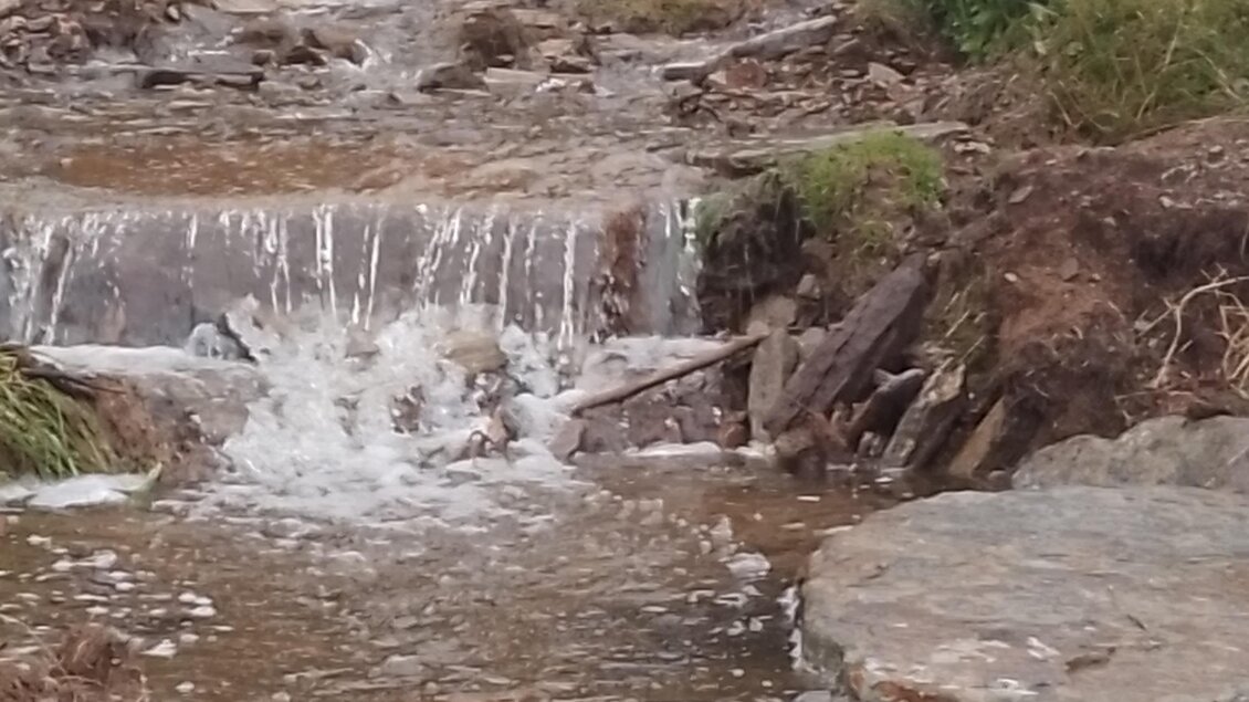 Ein klarer Wasserlauf fließt über Steine in einer natürlichen Umgebung. Grüne Pflanzen umgeben den Bach und verleihen der Szene eine friedliche Atmosphäre.