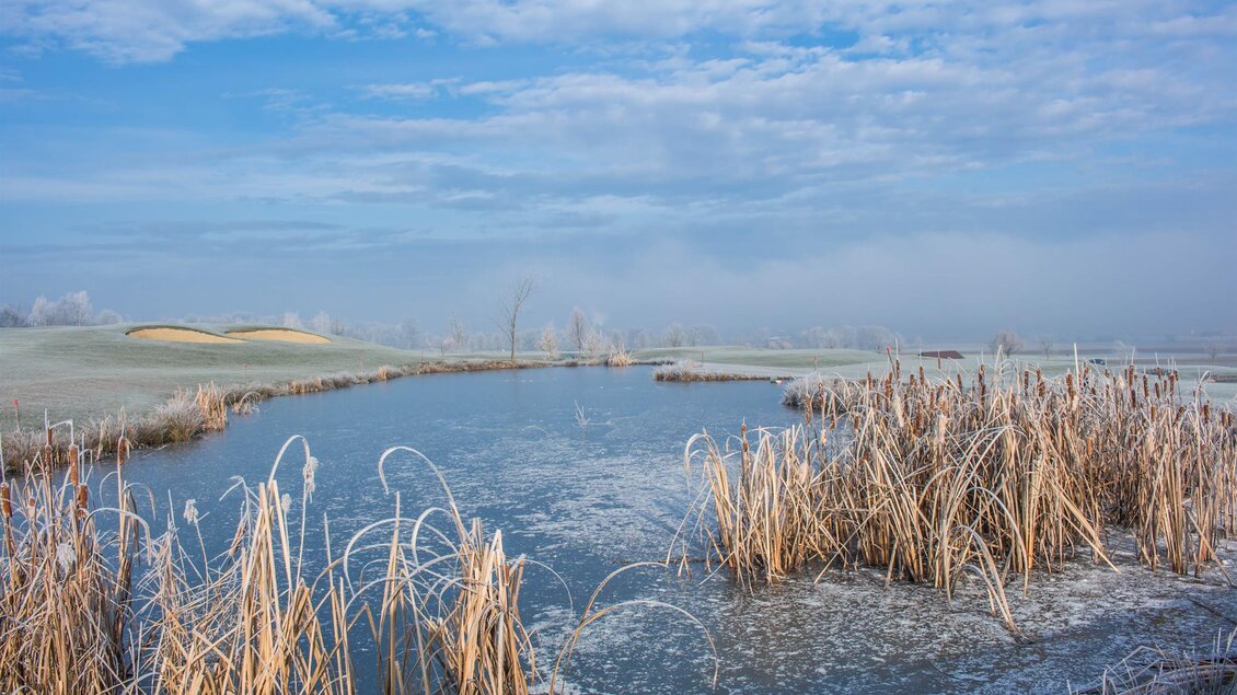 Ein ruhiger See mit gefrorenem Ufer und Braungras. Der Himmel ist klar und blau mit einigen Wolken. | © Ingrid Jansky