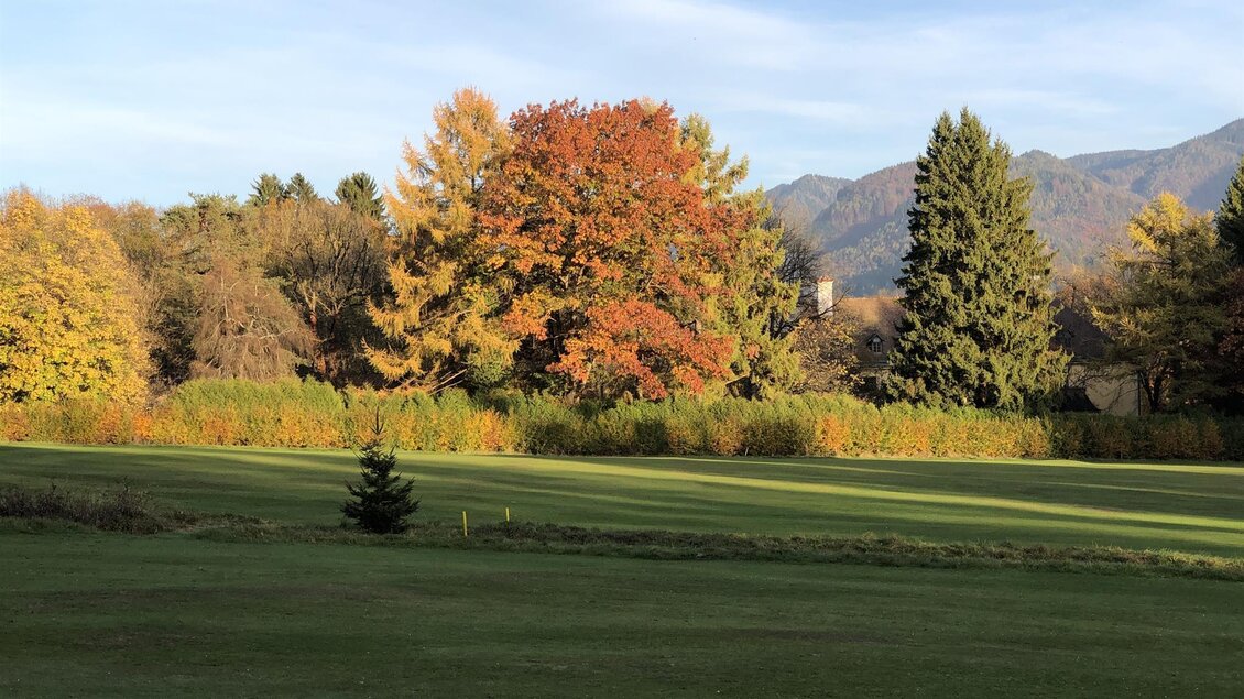 Ein ruhiger Landschaft mit grünem Gras und buntem Herbstlaub. Im Hintergrund sind Berge und ein klarer Himmel zu sehen. | © Golfclub Schloss Feistritz