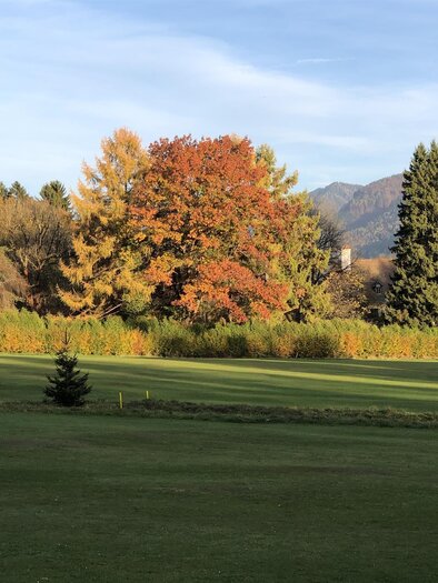 A quiet landscape with green grass and colorful autumn leaves. In the background, mountains and a clear sky can be seen. | © Golfclub Schloss Feistritz