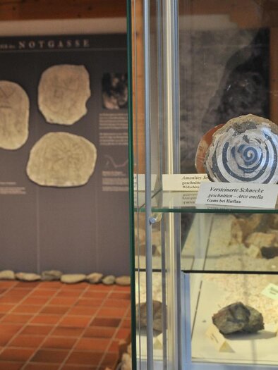 A museum with exhibits of fossils and stones. In the background, explanations of the displayed objects can be seen. | © Gröbming Musem