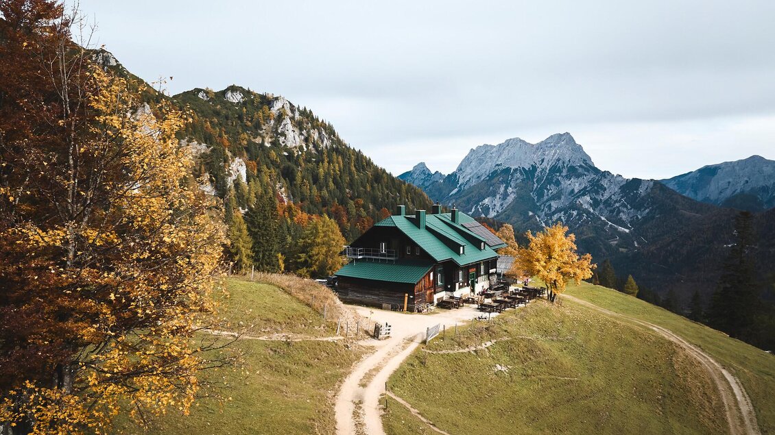Ein gemütliches Berghaus umgeben von Bäumen und Bergen. Der Weg führt durch eine malerische Landschaft im Herbst.