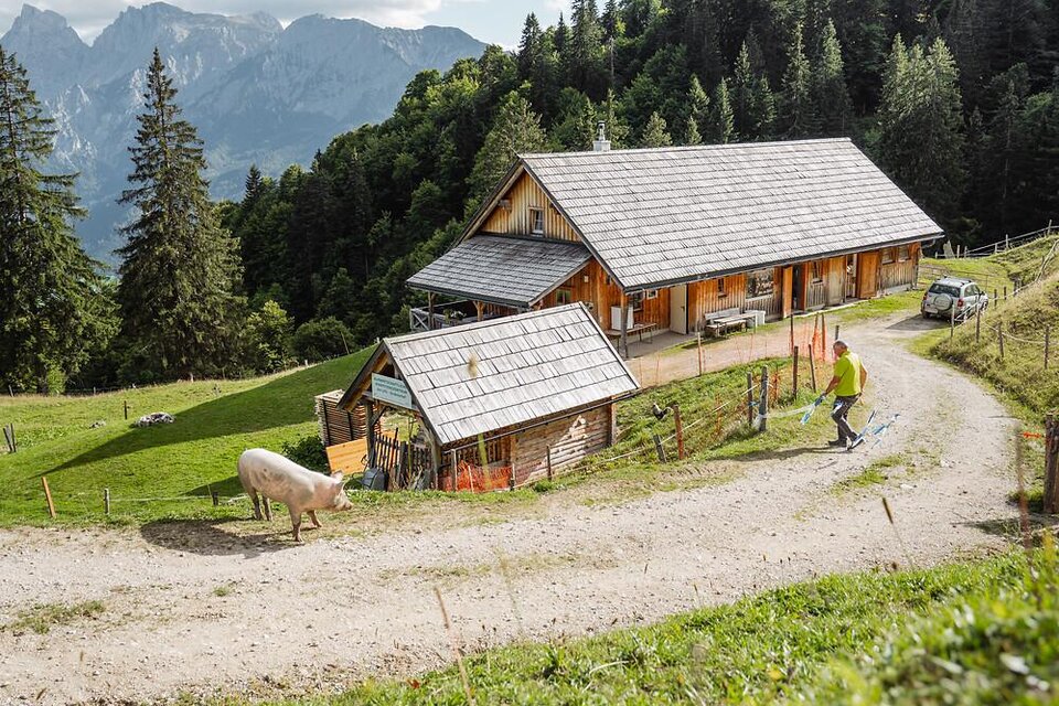 Grabnerhof Käserei - Impression #1 | © Christoph Lukas