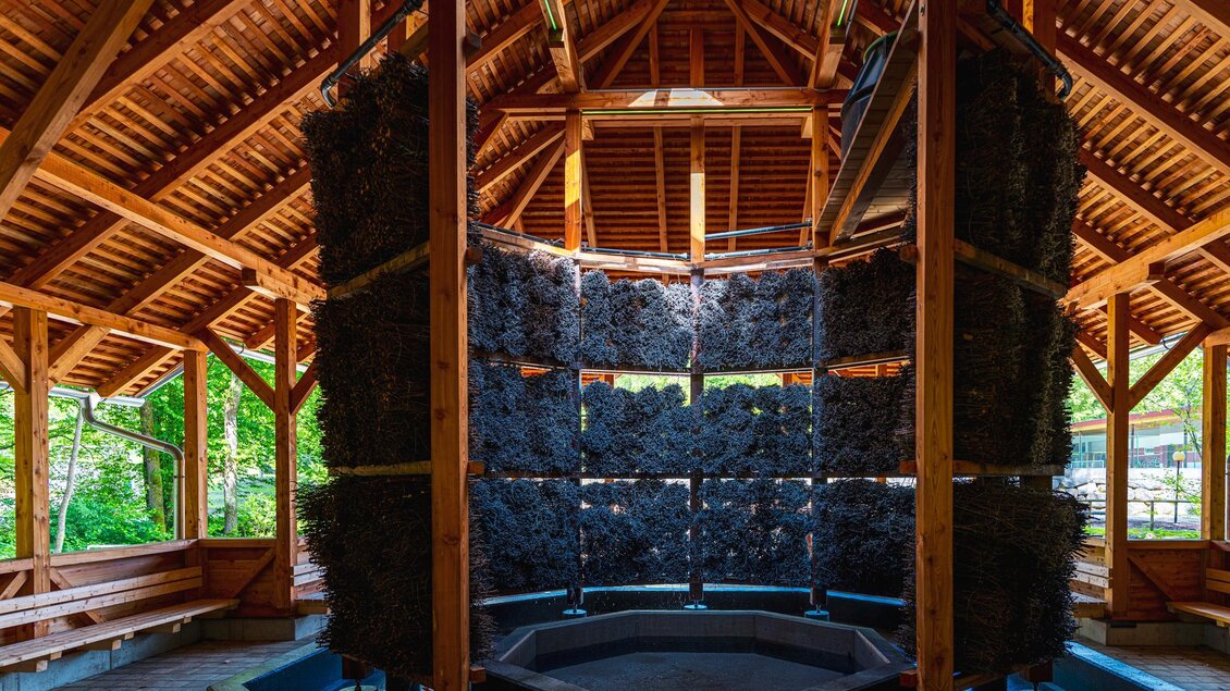 Blick ins Innere des Holzpavillons mit feuchter Schwarzdornwand | © Region Graz - Bernd Grosseck