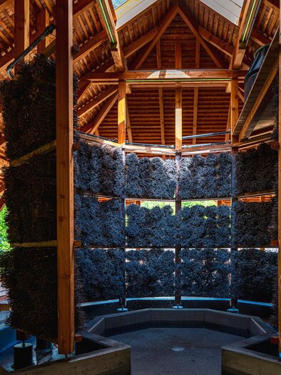 View inside the wooden pavilion with damp blackthorn wall | © Region Graz - Bernd Grosseck